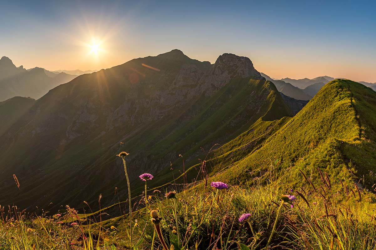 Allgaeuer Bergwald Chalets Aktiv Bergkam