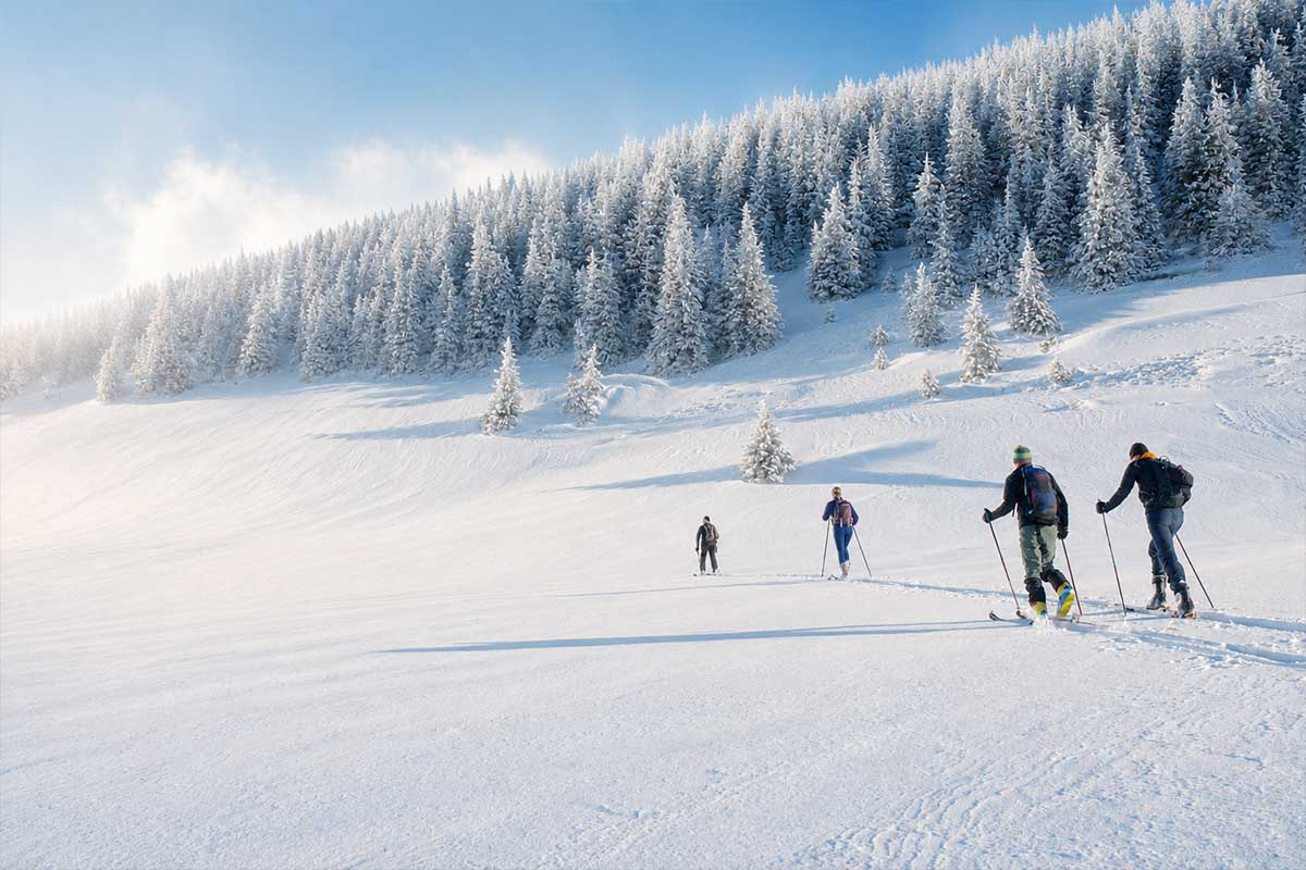 Allgaeuer Bergwald Chalets Aktivitaeten Schnee Wandern