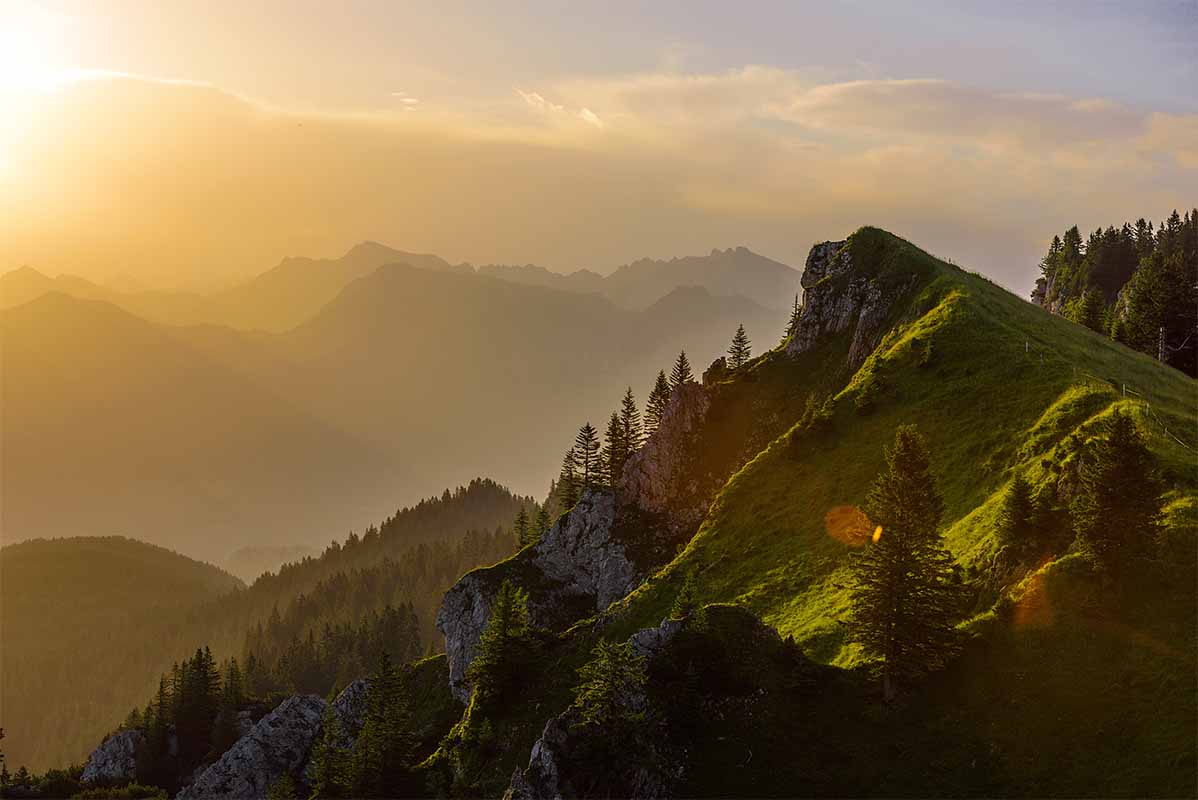 allgaeuer-bergwald-chalets-berg-panorama-landschaft