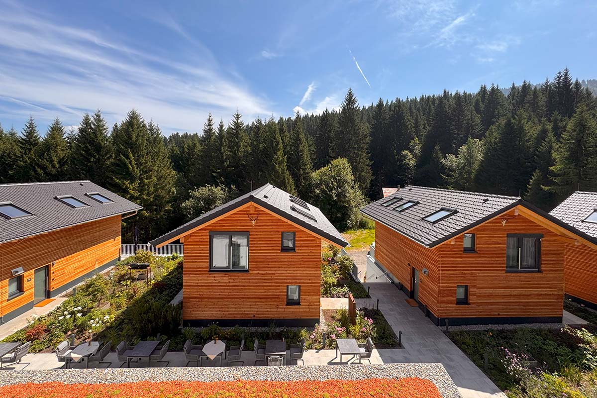Allgaeuer Bergwald Chalets Aussen Chalets Bergblick Baum