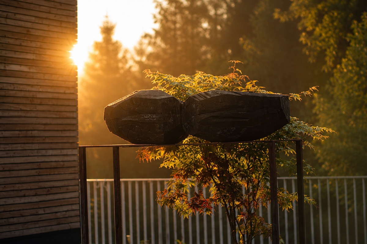 Allgaeuer Bergwald Chalets Kunst 